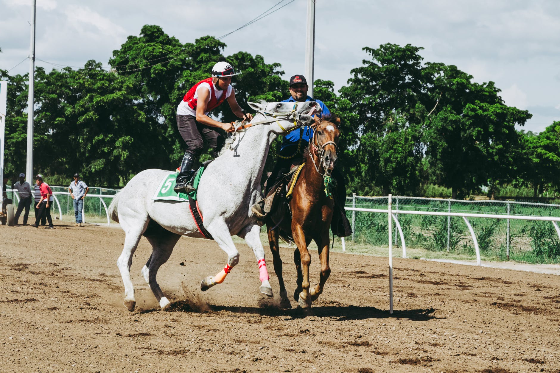 pexels photo 1462345 1 - Gewinnzauber: die größten Gewinner im Bereich Race Sports Gambling